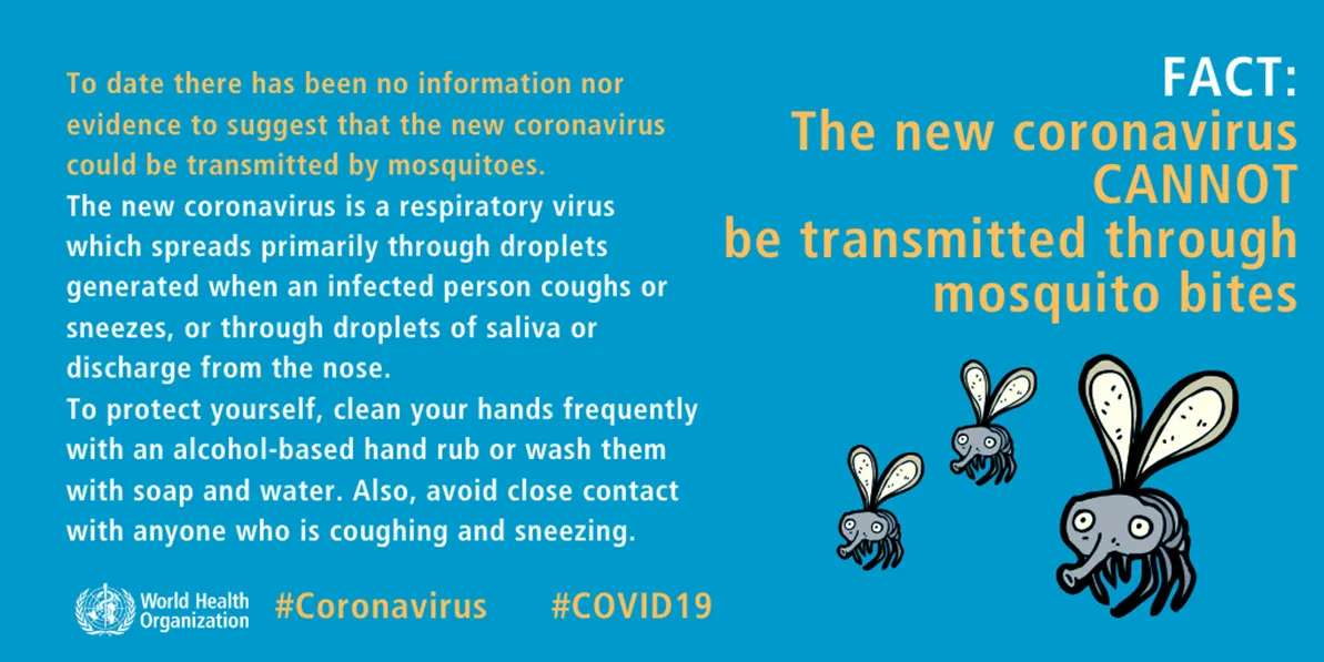 Fact: The new coronavirus CANNOT be transmitted through mosquito bites [infographic]